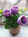 Букет тюльпанів, фото 6