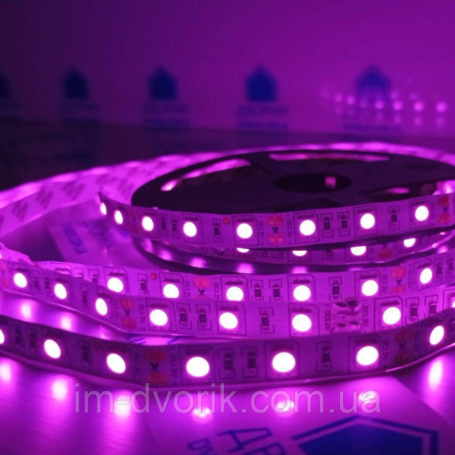 Світлодіодна стрічка рожева 12V (5 метрів) smd5050 ІР20 60led для освітлення