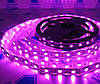 Світлодіодна стрічка рожева 12V (5 метрів) smd5050 ІР20 60led для освітлення, фото 3
