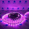 Світлодіодна стрічка рожева 12V (5 метрів) smd5050 ІР20 60led для освітлення, фото 5