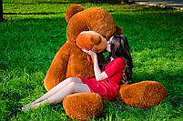 Великий плюшевий ведмедик плюшевий мішка 2 метри, коричневий м'який ведмедик, подарунок для дівчини, фото 4