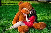 Великий плюшевий ведмедик плюшевий мішка 2 метри, коричневий м'який ведмедик, подарунок для дівчини, фото 4