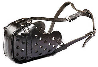 Намордники