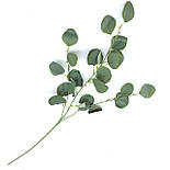 Штучна гілка Евкаліпт, блакитний 88 см, фото 2