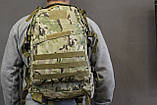 Тактичний (військовий) рюкзак Raid з системою M. O. L. L. E Coyote (601-coyote), фото 3