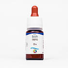 Краплі Баха №11 Elm (В'яз, Ельм). GUNA. Краплі, 10 мл. При перевантаженні, криза втоми, фото 2