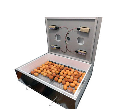 Инкубатор | купить недорого, на Prom | Украина