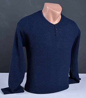 Чоловічий тонкий пуловер Vip Stendo з ґудзиками