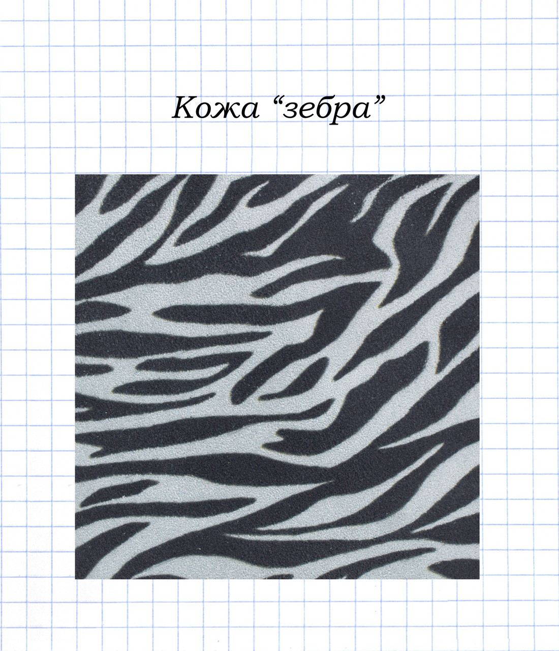 Шкіра "Зебра"