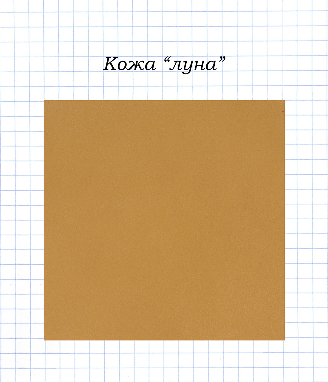 Шкіра "Луна"