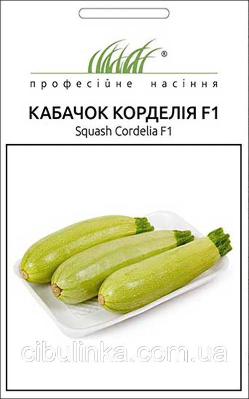 Кабачок Корделія F1 Syngenta/Нідерланди 5 шт, фото 1