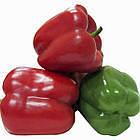 Перець солодкий Геркулес F1 Clause 8 шт, фото 3