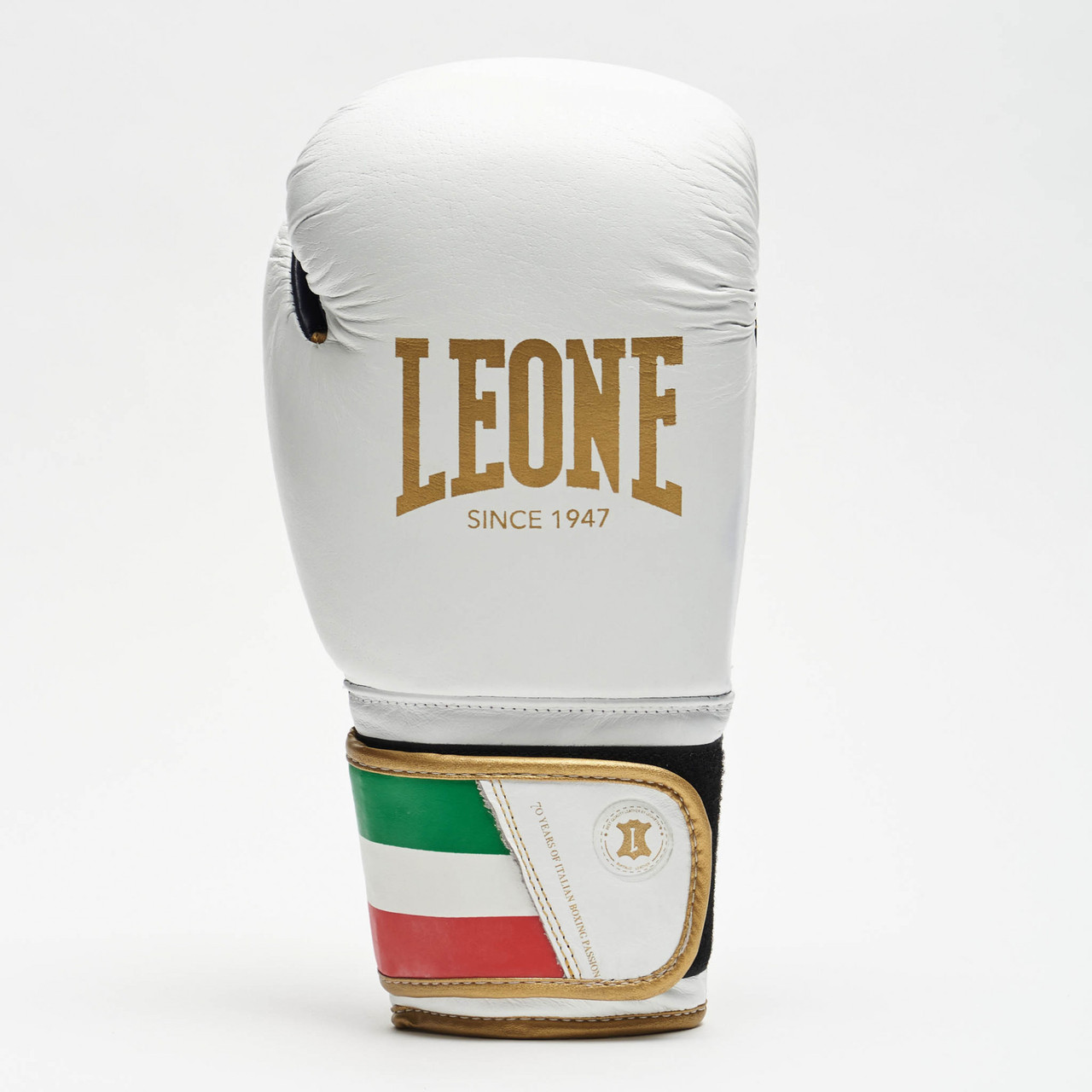 11+ Leone Boxing Gloves