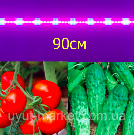 Фітолампа 90 см 13 Вт для вирощування розсади огірків, помідор Т8 (4червоних:2сині)