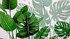 Вінілові наклейки на стіну, вікна, двері "зелене листя папороті" 89см*43см (лист 50*70см), фото 4