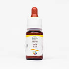 Краплі Баха №37 Wild Rose (Дика Троянда, Шипшина). GUNA. Краплі, 10 мл. При млявості, апатії, покірності, фото 2