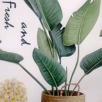 Інтер'єрні наклейки на стіну, шафа на вітрину "кімнатні квіти Fresh and Green plants 96*99см (лист60*100см), фото 3