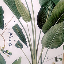 Інтер'єрні наклейки на стіну, шафа на вітрину "кімнатні квіти Fresh and Green plants 96*99см (лист60*100см), фото 2