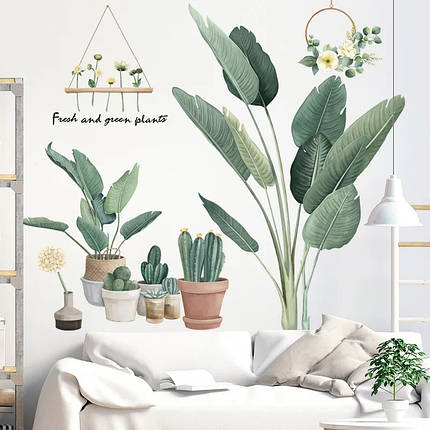 Інтер'єрні наклейки на стіну, шафа на вітрину "кімнатні квіти Fresh and Green plants 96*99см (лист60*100см), фото 2