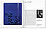 Видатні художники. Yves Klein. Hannah Weitemeier, фото 5