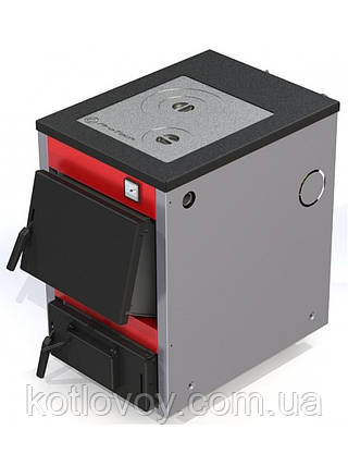 Твердопаливний кошенял із плитою Protech TTП Standart Plus, фото 1