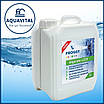 Froggy «Algicide L220», Альгіцид проти водоростей (каністра 5 л), фото 2