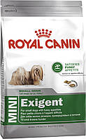 Сухой корм для привередливых к корму взрослых собак мелких пород Royal Canin MINI EXIGENT 3 кг