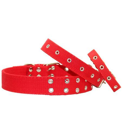 Нашийники брезентові економ