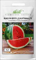 Професійне насіння.  Семена Арбуз Ерли Джитана F1 (Круглый), 8 шт