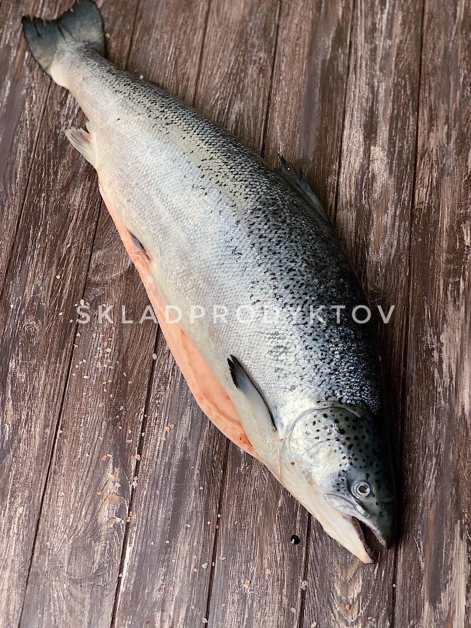 Сьомга тушка ох. 5-6, Одеса ЦІНУ УТОЧНЮВАТИ !!! Instagram: skladprodyktov_ukraine