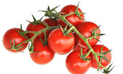 Насіння томатів черрі