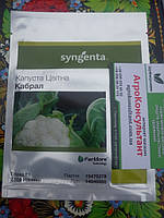 Насіння цвітної капусти Кабрал F1 (Syngenta), 2 500 насінин середньостигла (75-80 днів), округла форма