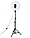 Кільцева світлодіодна LED лампа LC-330 33 см зі штативом та тримачем для телефон, фото 9
