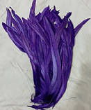 Пір'я півня Декоративне перо Колір Фіолетовий 26-35см, фото 2