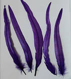 Пір'я півня Декоративне перо Колір Фіолетовий 26-35см, фото 3