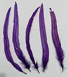 Пір'я півня Декоративне перо Колір Фіолетовий 26-35см, фото 5