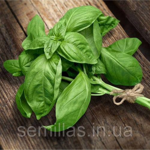 Базилік Дарк Грін, 300 гр., зелений
