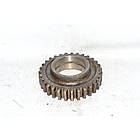 Шестірня 40-1701146-А проміжна паразитна Z=31редуктора коробки трактора ЮМЗ