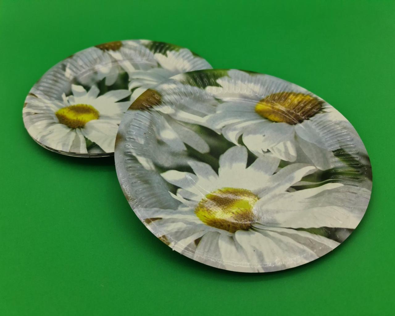 Паперова тарілка з малюнком 18см"№ 33"Ромашки10шт (1 пач.), фото 1