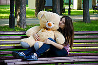 М'яка іграшка подарунок на 8 березня плюшевий ведмедик плюшевий мішка Томии 100 см Бежевий, фото 5