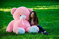 М'яка іграшка подарунок на 8 березня плюшевий ведмедик плюшевий мішка Томии 180 см Рожевий, фото 4