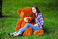 М'яка іграшка подарунок на 8 березня плюшевий ведмедик Потап 150 см Коричневий, фото 4