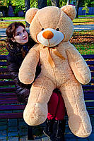 М'яка  іграшка подарунок на 8 березня плюшевий ведмедик Рафаель 140 см Бежевий, фото 3