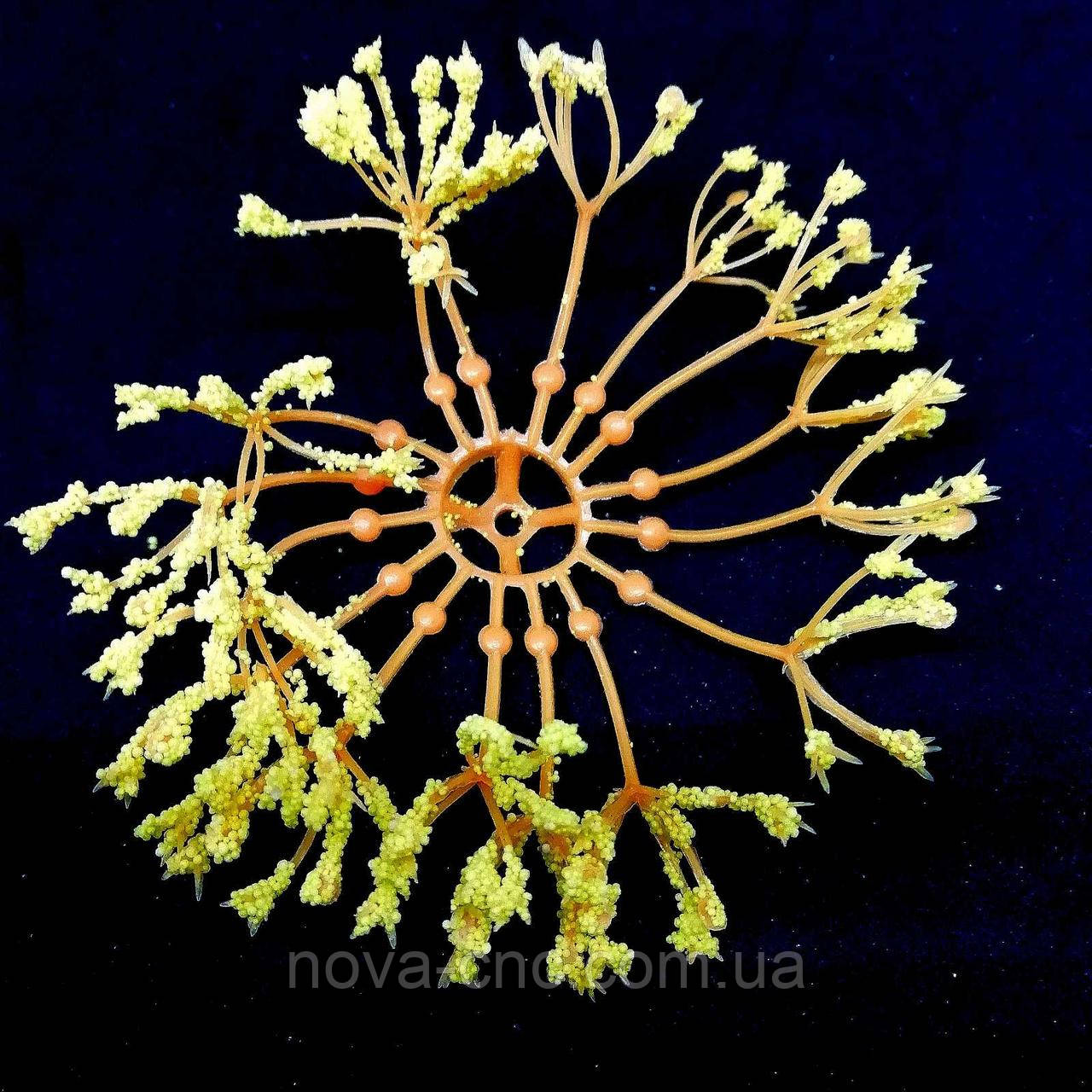 Пластикові серединки для великих квітів помаранчеві з жовтими кінчиками упаковка 10 штук