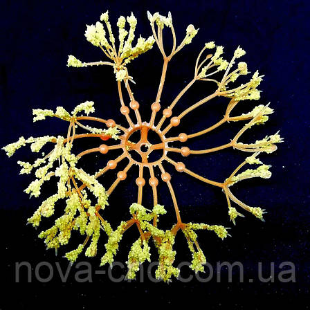 Пластикові серединки для великих квітів помаранчеві з жовтими кінчиками упаковка 10 штук, фото 1