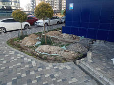 Прокладання комунікацій системи поливу