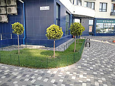 Автоматичний полив у роботі