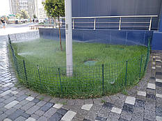 Автоматичний полив у роботі