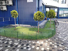 Автоматичний полив у роботі