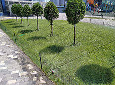 Автоматичний полив у роботі